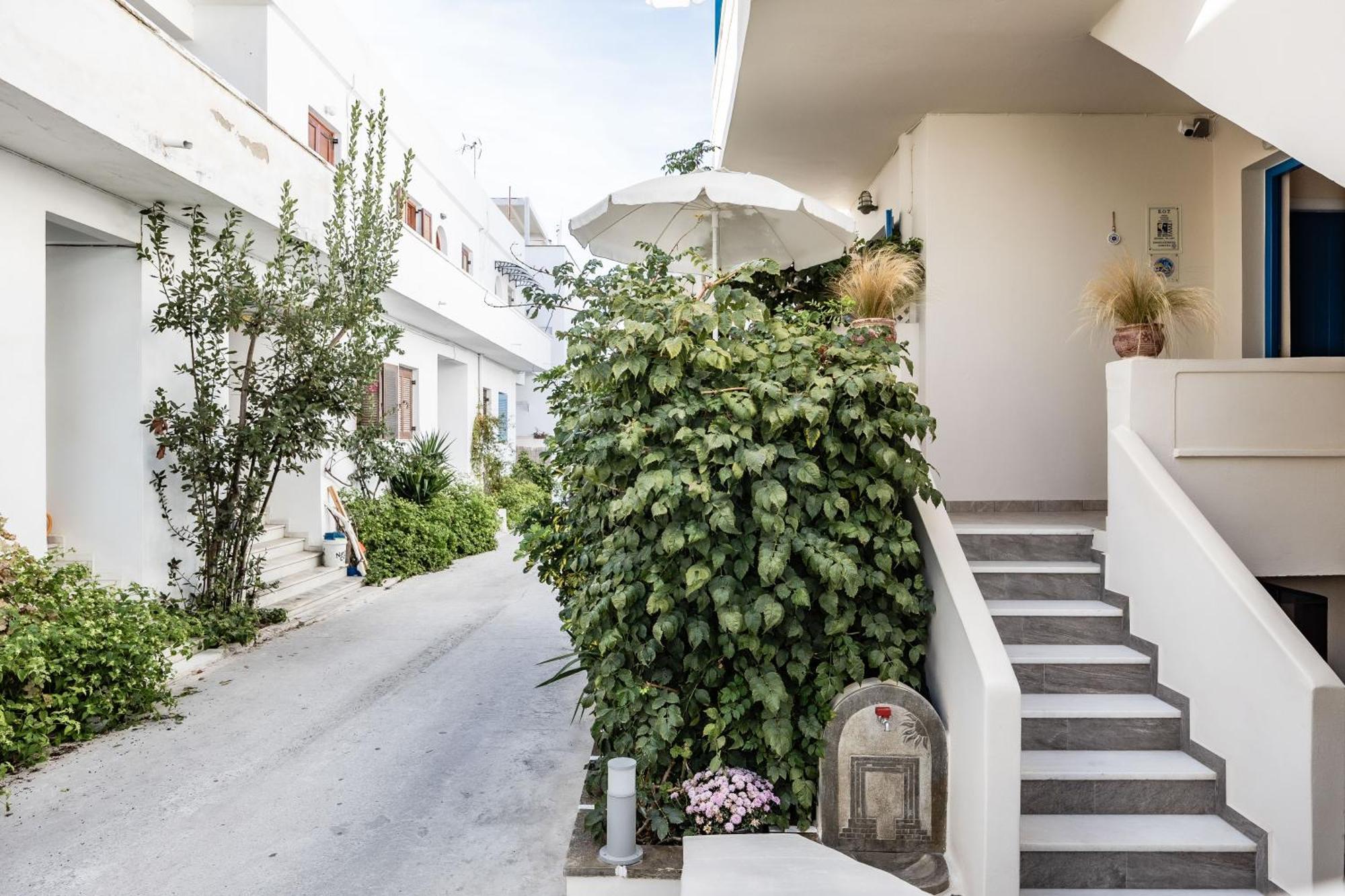 莱夫克斯一室公寓 Naxos City 外观 照片